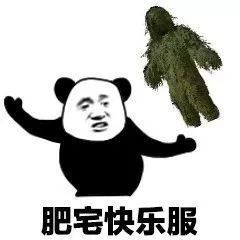  熊猫头表情包