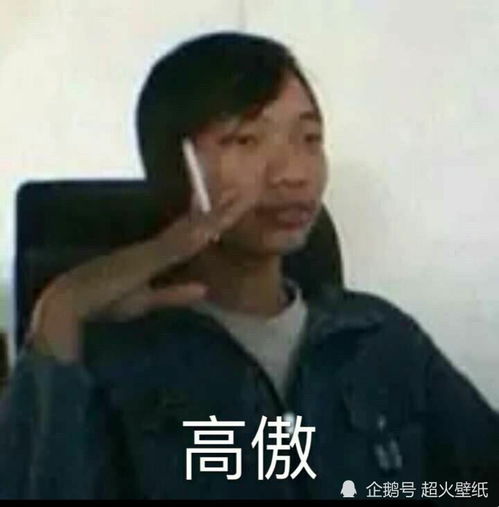  表情包都安排好了会有蚊子替我跟你说晚安