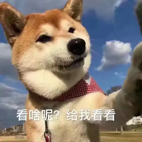  幽默段子笑话以前上高中的时候,我有个同桌叫董汇文