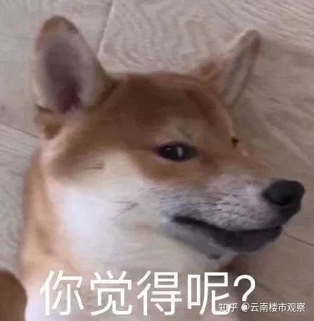  昆明成直辖市,大理成省会城市,到底是真是假