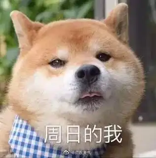 大部分渣男的表情包狗子