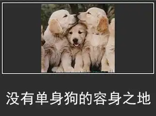  情人节虐狗表情包情侣虐狗表情包