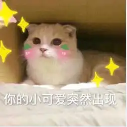  你的小可爱突然出现那个表情包,这是别人的聊天记录,我截的