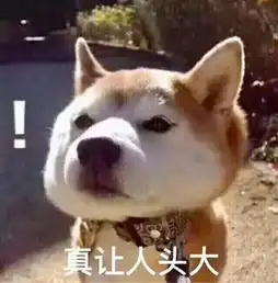  狗狗表情包真让人头大