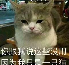  大学养不养宠物