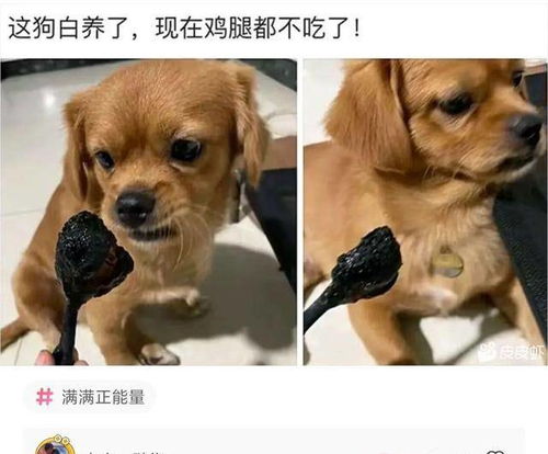  爆笑神评从什么时候开始,星巴克不只是一个喝咖啡的地方