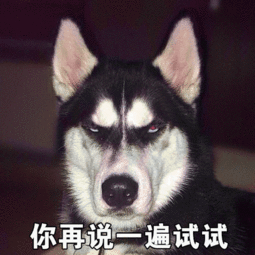  搞笑图片20181225哈士奇表情包