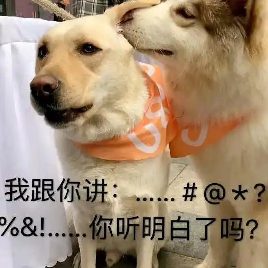 狗头表情包原型抖音