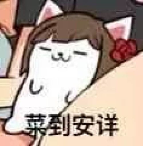  你的表情包该换血了保证你出门斗图再也不输