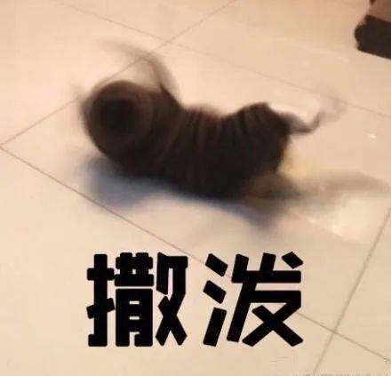  你以为有钱人很快乐吗