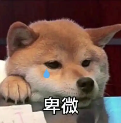  我的收藏夹