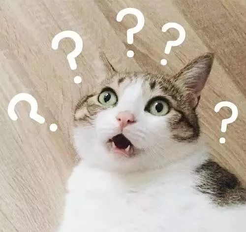  那些支撑我活下去的表情包