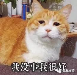  这个妻子心太大了醉酒的老公掉半路,她竟浑然不知