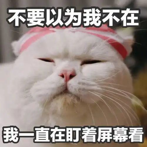  表情包图片大全微信聊天表情包大全