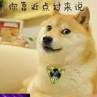 狗头表情包原型情侣头像