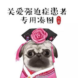  想自己创业又不知道要做什么,开淘宝店还是开实体店卖点啥好不许吃白菜的美拍