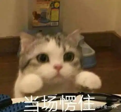  听到矫正要拔4颗牙,于是我打起了退堂鼓...