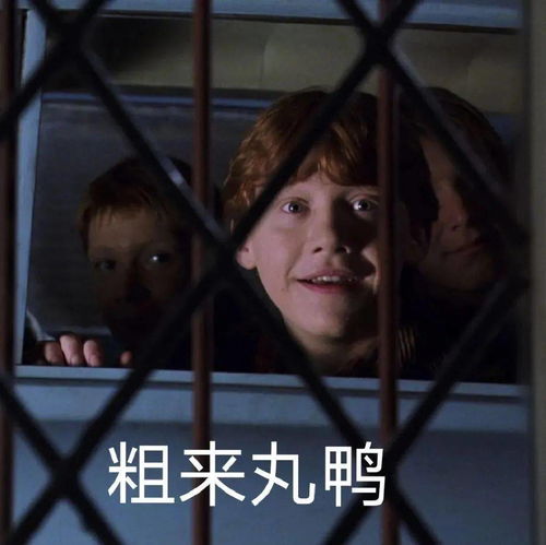  哈利波特专属表情包