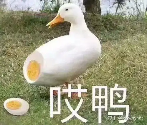  adameve小簧片里的人为什么都不带套