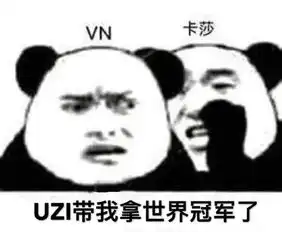  lolmsi世界赛rng夺冠表情包汇总旗木卡卡让牛逼