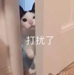 被生活折磨的面目全非表情包免费版被生活折磨的面目全非表情包高清无水印版9553下载