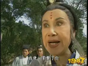 亮剑王宥胜表情包doge