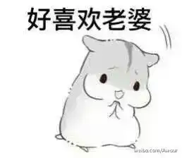 兔子吞脑袋表情包一套仓