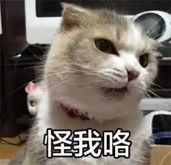  乱丢垃圾将罚款万元义乌人注意,一个多月后千万别做这件事...