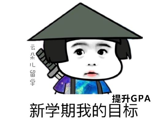  美国留学被开除了有什么办法能继续读书