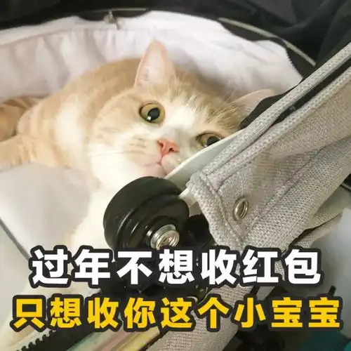 表情包壁纸桌面土味情话