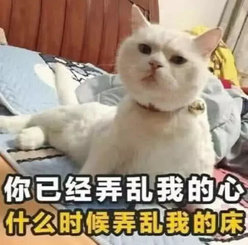 男票跟你动嘴表情包杀回去你还敢凶我,看我不记死你