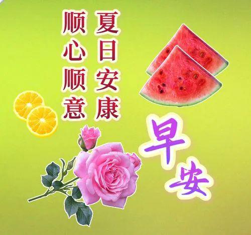  8月9日最新早上好漂亮图片祝福