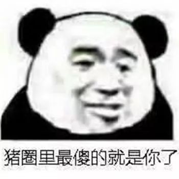  每日表情微信聊天斗图