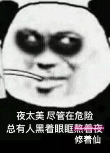  2017年度最强表情包合集出炉一个都没用过算我输
