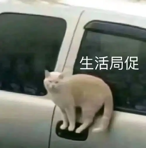 猫猫表情包骗你是小猫ω 猫猫表情包骗你是小猫ω