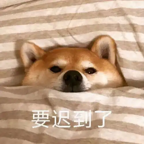 达咩表情包图片鼠年