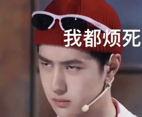 聊天污图表情包王一博