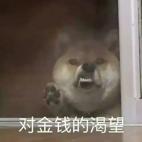  幽默逗趣的句子,日常一乐,精辟逗比,笑翻众人359坑爹小哥哥美女路考手机网易网