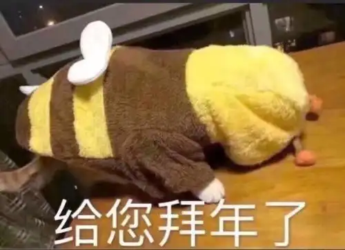  初四去重庆穿什么衣服