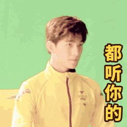  这波杨洋表情包,能单挑整个众包斗图圈