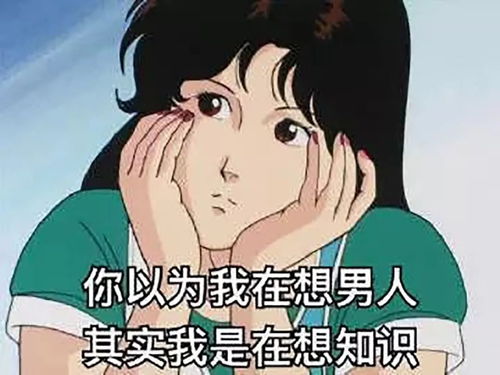  表情包今日份表情包