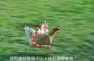  阴阳师就是一个肝不见底的大坑