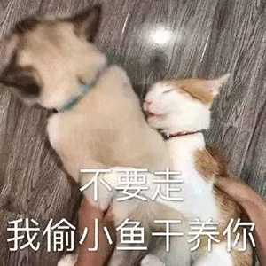  新型冠状病毒肺炎疫情结束后,你会想要做什么