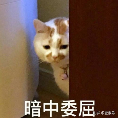  来,咱们谈谈情说说爱顺便把七夕礼物送给你
