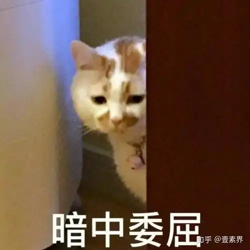  来,咱们谈谈情说说爱顺便把七夕礼物送给你