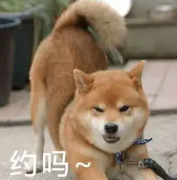  史上最全柴犬表情包合集来啦,约吗