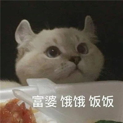 在线表情包沙雕赘婿