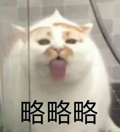  范冰冰手上的钻石我只在吊灯上见过