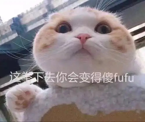  每日表情包人生啊,地不熟