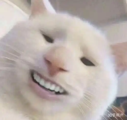 拉的屎把马桶堵住了是怎样一种体验 拉的屎把马桶堵住了是怎样一种体验